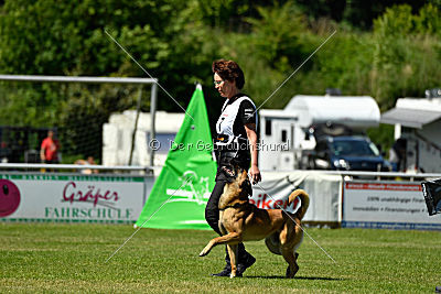 Faros vom Haus Mecki