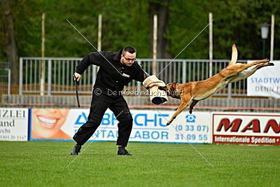 Faros vom Haus Mecki