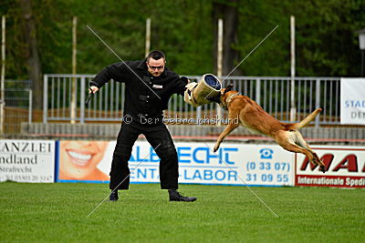 Faros vom Haus Mecki