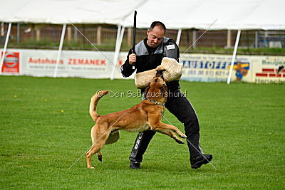 Faros vom Haus Mecki