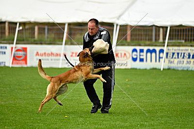 Faros vom Haus Mecki