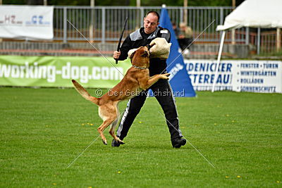 Faros vom Haus Mecki