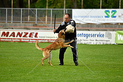 Faros vom Haus Mecki