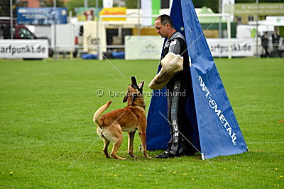 Faros vom Haus Mecki