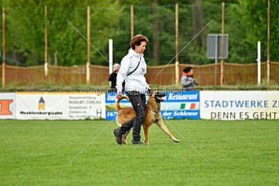 Faros vom Haus Mecki