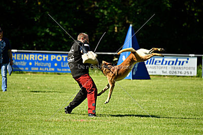 Faros vom Haus Mecki