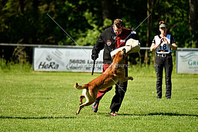 Faros vom Haus Mecki