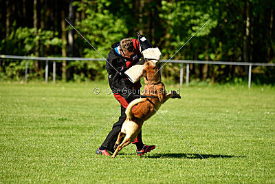 Faros vom Haus Mecki