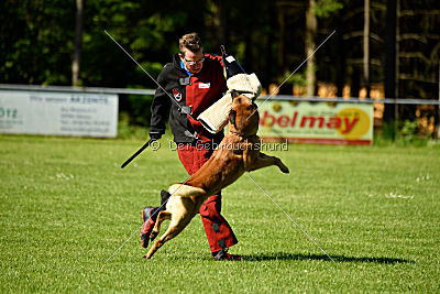 Faros vom Haus Mecki