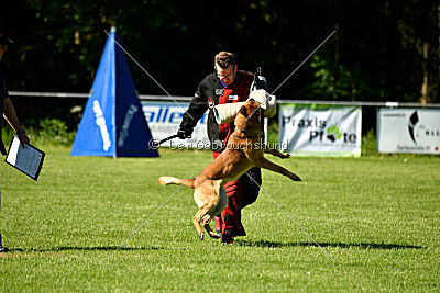 Faros vom Haus Mecki