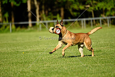 Faros vom Haus Mecki