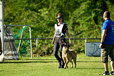 Faros vom Haus Mecki