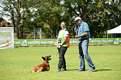 Farun des chiens de travail