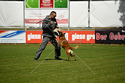 Farun des chiens de travail