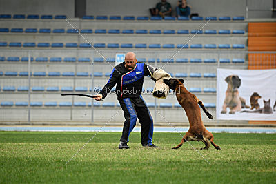 Felix vom blauen Mistral