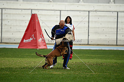 Felix vom blauen Mistral