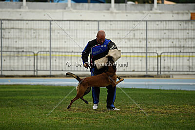 Felix vom blauen Mistral