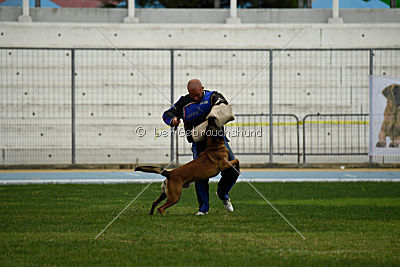 Felix vom blauen Mistral
