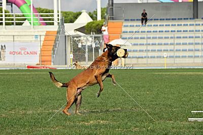 Felix vom blauen Mistral