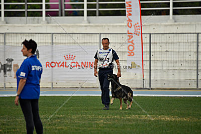 Feniks vom Haus Pixner