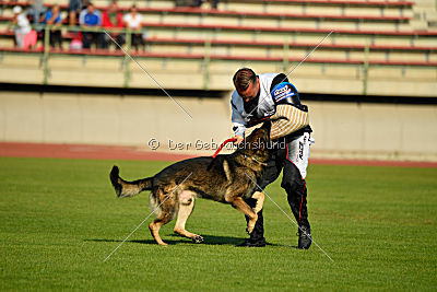 Feniks vom Haus Pixner