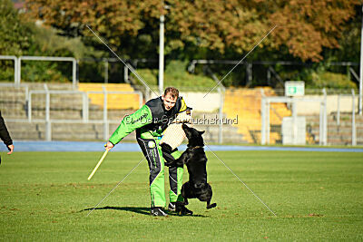 Fergie vom Ottilienstein