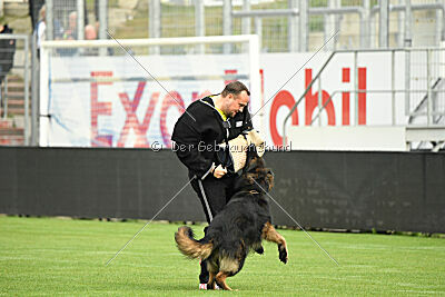 Fero vom Weggefährten