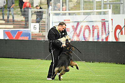 Fero vom Weggefährten