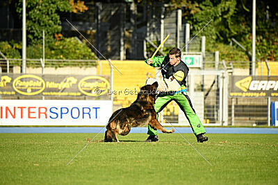 Fero vom Weggefährten