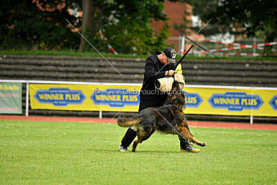 Fero von den Weggefährten