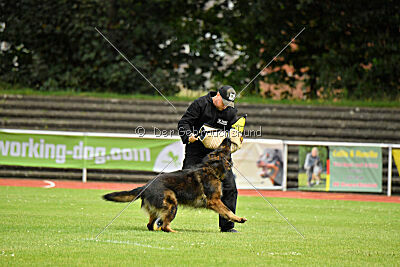 Fero von den Weggefährten