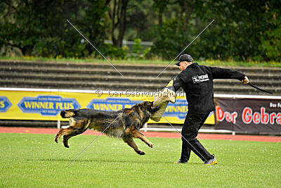 Fero von den Weggefährten