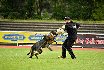 Fero von den Weggefährten