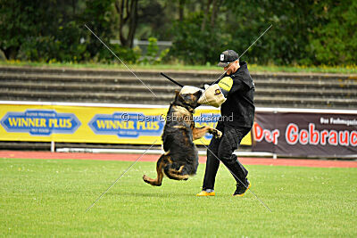 Fero von den Weggefährten