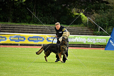 Fero von den Weggefährten
