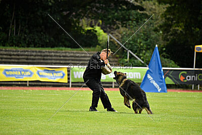 Fero von den Weggefährten