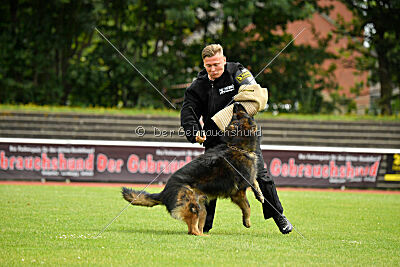 Fero von den Weggefährten