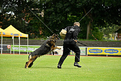 Fero von den Weggefährten