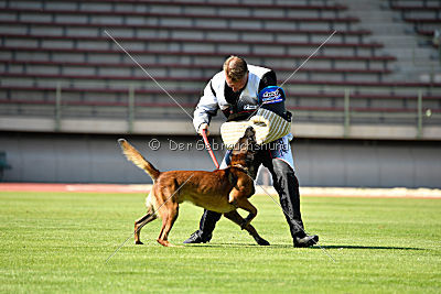 Ferro vom blauen Mistral