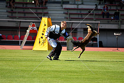 Ferro vom blauen Mistral