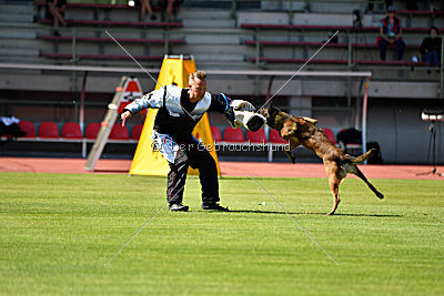 Ferro vom blauen Mistral