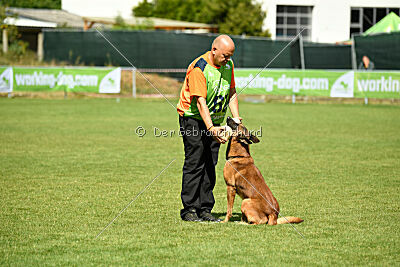 Fiasko vom Haus Mecki