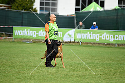 Fiasko vom Haus Mecki