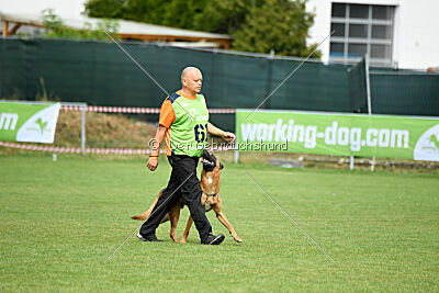 Fiasko vom Haus Mecki