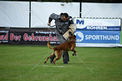Fiasko vom Haus Mecki