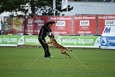 Fiasko vom Haus Mecki
