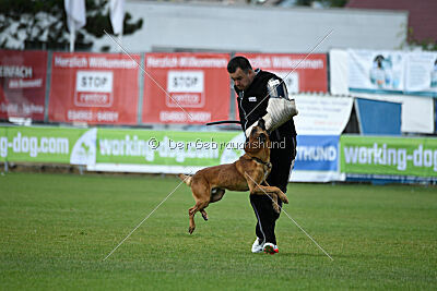 Fiasko vom Haus Mecki