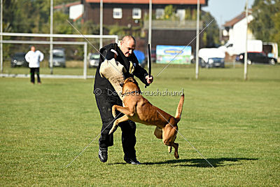 Fiasko vom Haus Mecki