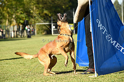 Fiasko vom Haus Mecki
