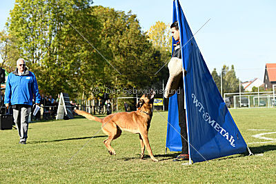 Fiasko vom Haus Mecki